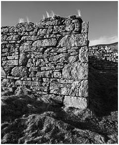 sheep fank glen loth Photo by David Paterson Photography sheep fank glen loth Photo by David Paterson Photography