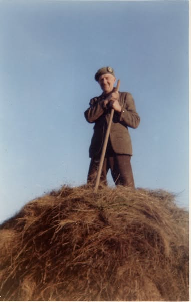 Andrew Sutherland building a haystack at Craigton