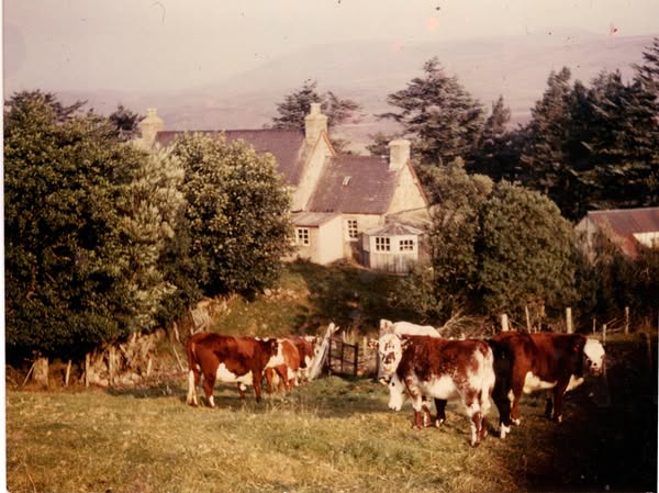 The house at Craigton